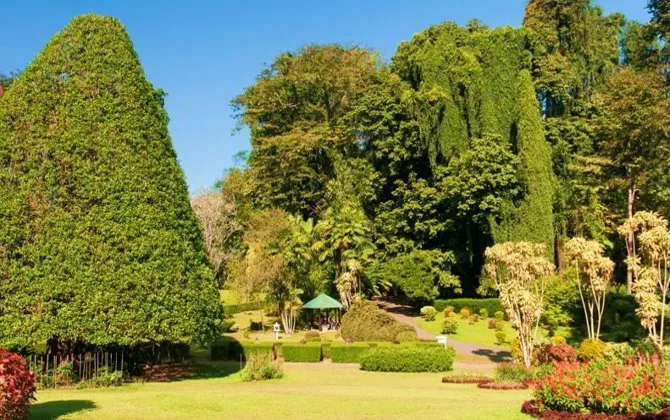 Royal Botanical Gardens