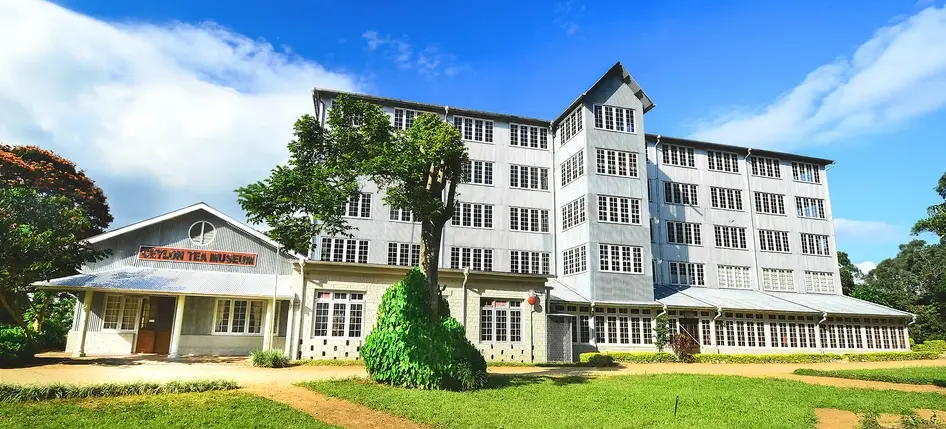 Ceylon Tea Museum