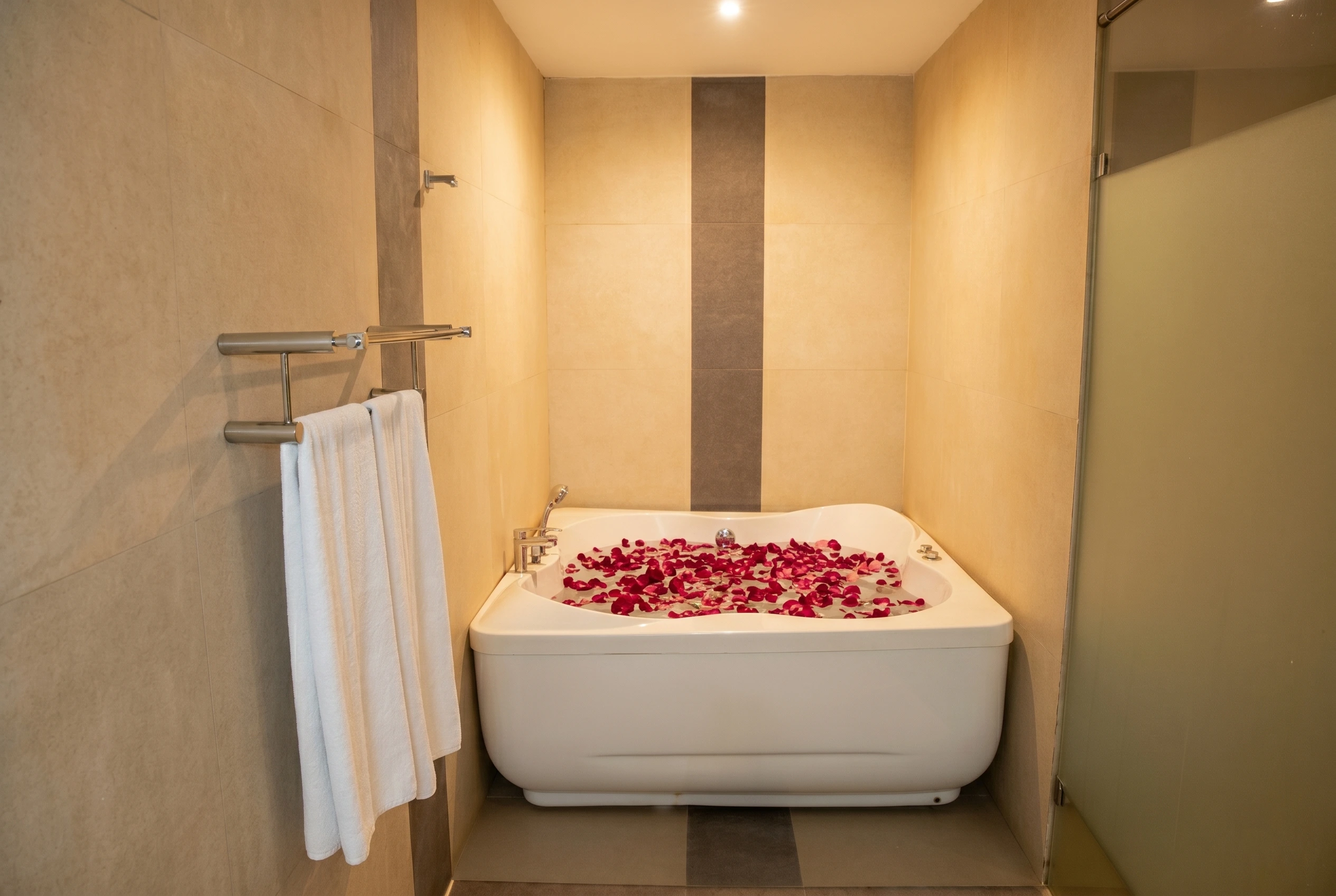 Suite Room
